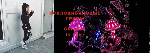 твердый Верхний Тагил