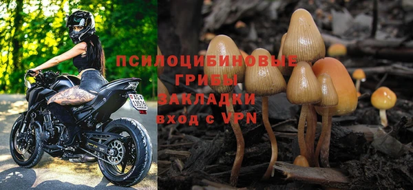 твердый Верхний Тагил