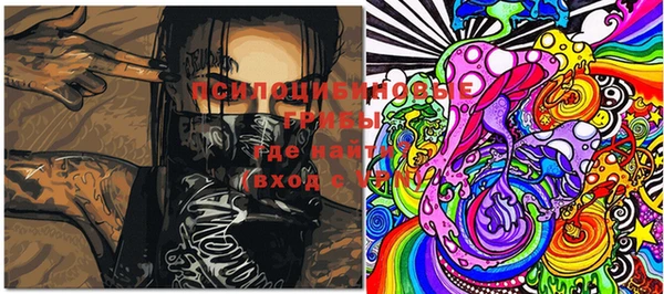 дживик Бронницы
