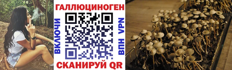 omg   Томари  Псилоцибиновые грибы мухоморы 